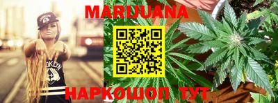 индика Будённовск