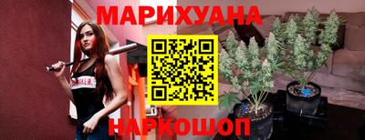индика Будённовск
