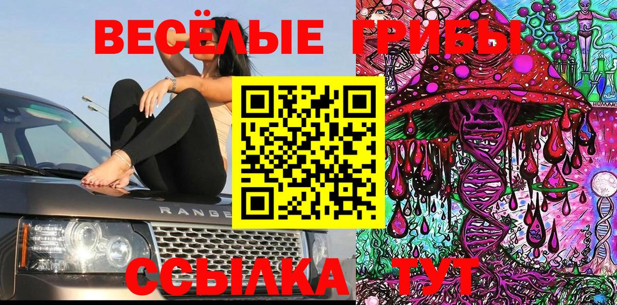 Галлюциногенные грибы Psilocybe Осинники