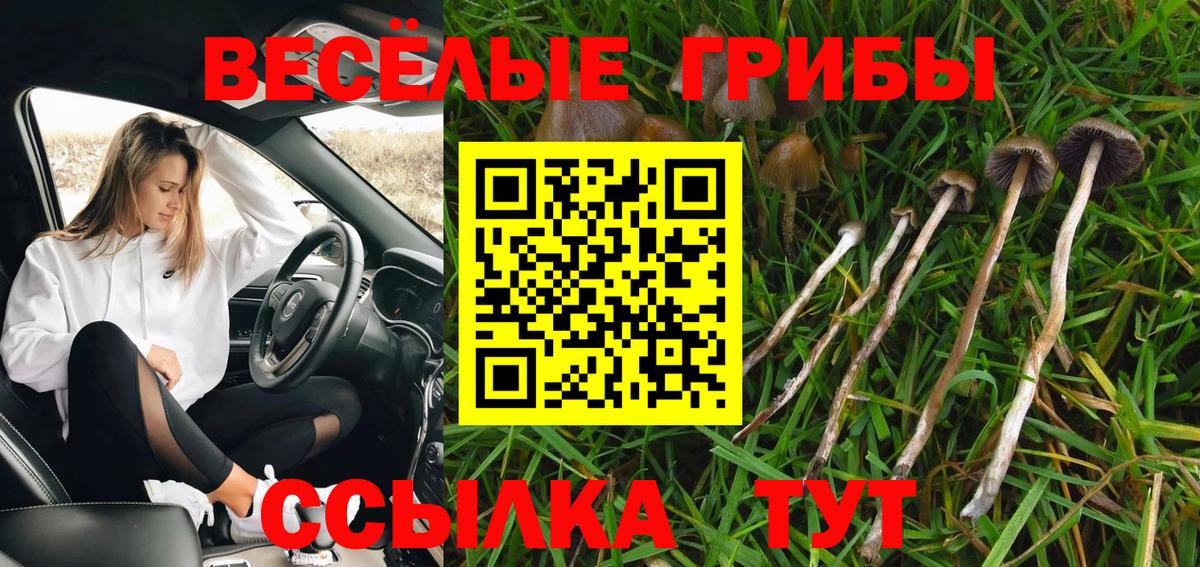 Псилоцибиновые грибы ЛСД  Вход с VPN  Галлюциногенные грибы GOLDEN TEACHER  Осинники 